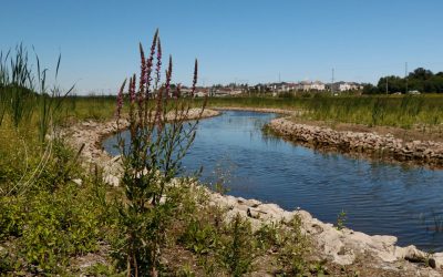 MVCA seeks volunteer campaign manager for Carp River Living Classroom