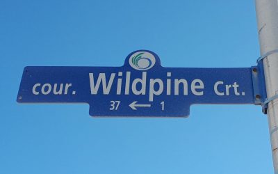 Seasonal winter parking restrictions coming soon to Wildpine Court