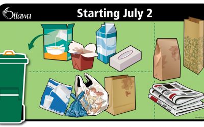 Bag-it and bin-it with plastic or paper – making the green bin easy and tidy to use