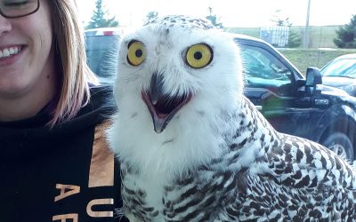 COUNCILLOR’S NOTEBOOK: Touring Ottawa’s garbage and recycling facilities