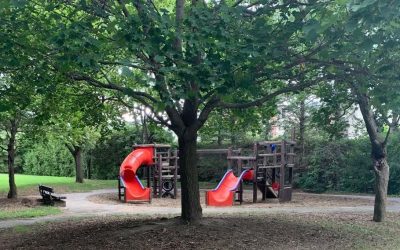 We want your feedback on the Sugar Creek Park redesign