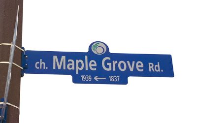 NOTEBOOK: Lowering the speed limit on Maple Grove Road