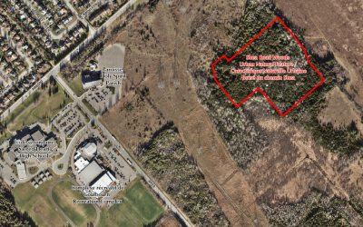 NOTEBOOK: Update on the City’s efforts to protect Shea Woods