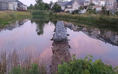 NOTEBOOK: The unfinished pathway between Potter’s Key and Echowoods