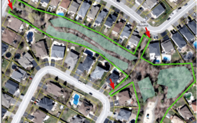 Woodlot Rehabilitation Program: Ladybird Park