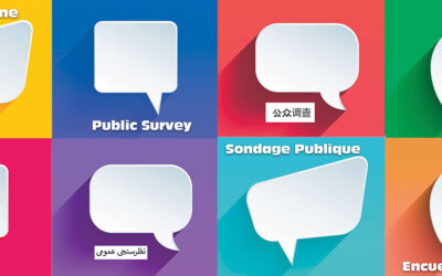 Ottawa Police Service Budget Public Survey