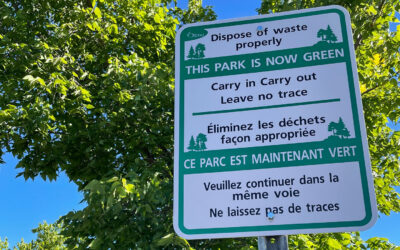 GREEN PARKS PILOT: What we learned and what’s next