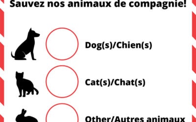 Ottawa Fire Services and Humane Society: keeping pets safe