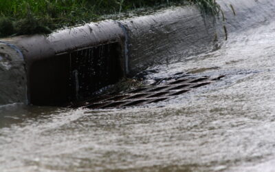 Committee moves to improve access to rainwater runoff rebates