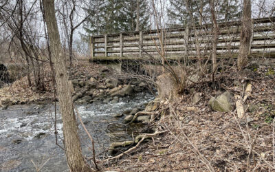 Councillor Glen’s Weekly Newsletter: April 28, 2022