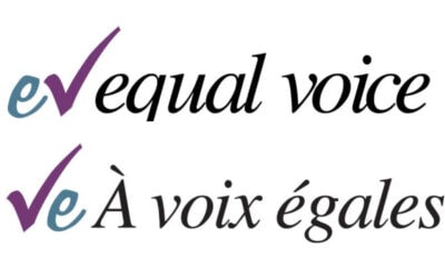 They Govern – Become a City Councillor for the Day