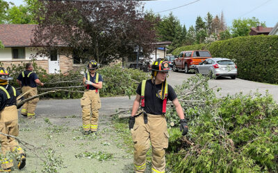 Volunteers needed to help with storm cleanup / Bénévoles recherchés pour aider au nettoyage après la tempête