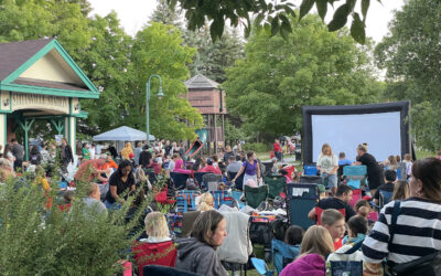 Councillor Glen’s Weekly Newsletter: August 17