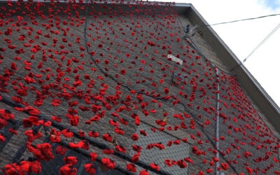 Councillor Glen’s Weekly Newsletter: November 16