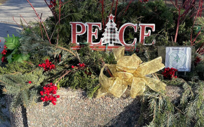 Councillor Glen’s Weekly Newsletter: December 14