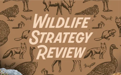 Wildlife Strategy Review: Engage Ottawa Page is Live