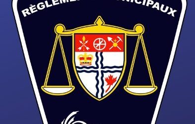 Committee receives update on by-law service performance