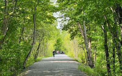 Councillor Glen’s Weekly Newsletter: May 25, 2023