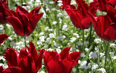 Committee approves more flexible rules for altering right of way