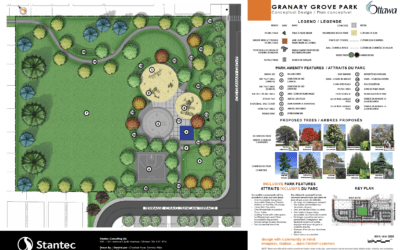 New Granary Grove Park: Concept Plans