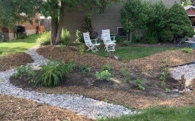 Get your property Rain Ready and you could win a custom designed and installed rain garden