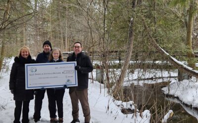 New Stittsville wetlands community group gets funding from Ottawa Stewardship Council
