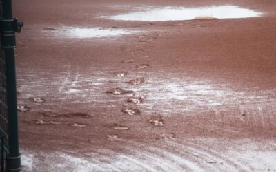 Residents are asked to stay off sports fields and baseball diamonds