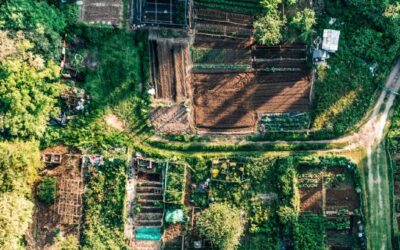 Community Garden and Green Initiatives Review: June Virtual Open Houses & Engage Ottawa Survey