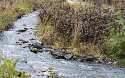 MVCA reviews land conservation & resource strategy