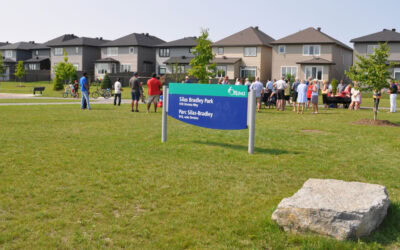 Parks Maintenance Spring Update