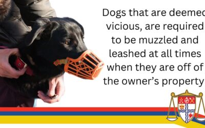 What happens when a dog is deemed vicious?
