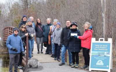 Friends of Stittsville Wetlands receives two-year funding  from Ottawa Stewardship Council