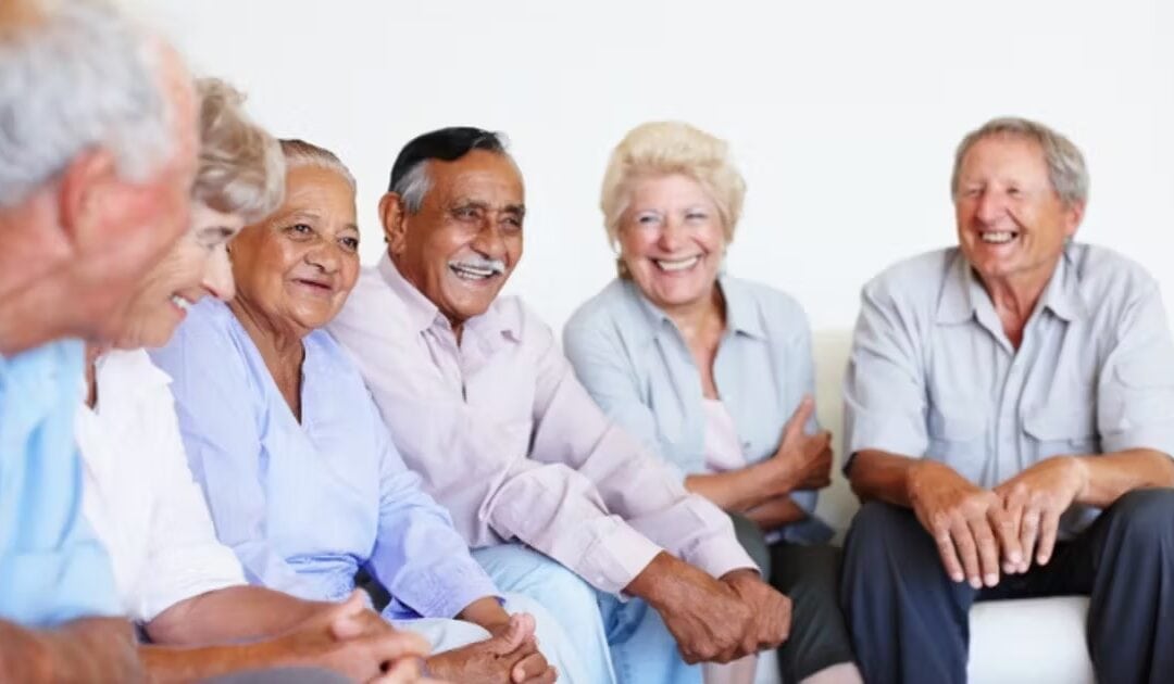 Findings from the Consultations in Preparation for the Older Adult Plan 2025-2030
