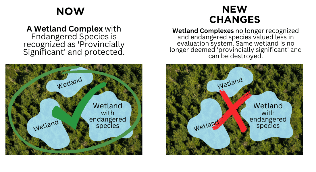 Illustration describing "complexing". Source: Environmental Defence