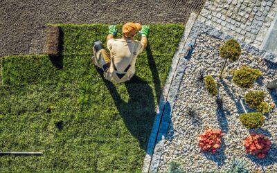 Help make Ottawa’s landscaping rules clearer