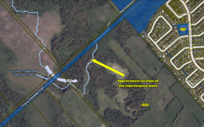Hazeldean Municipal Drain 2025 maintenance work