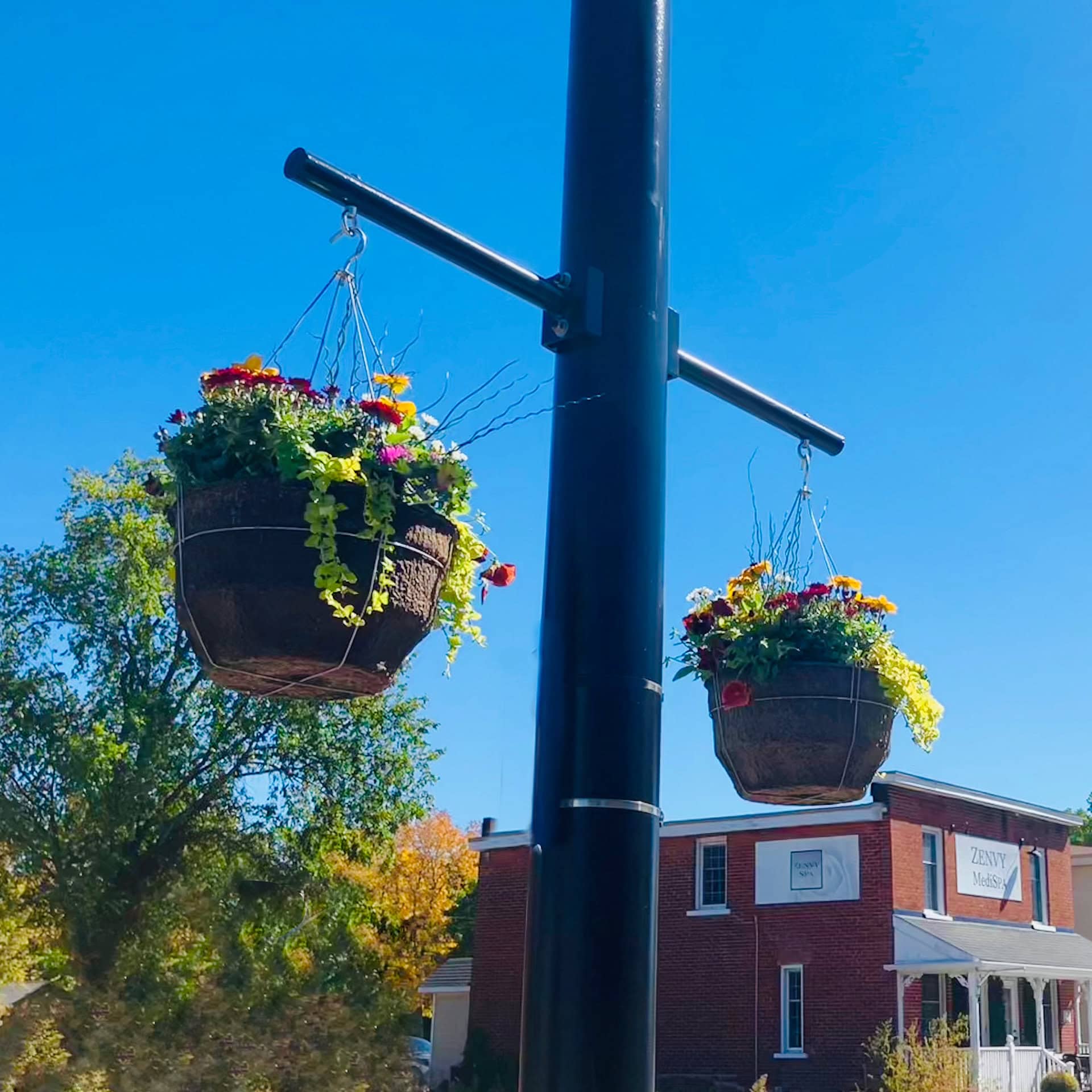 Hanging flower baskets on Stittsville Main Street