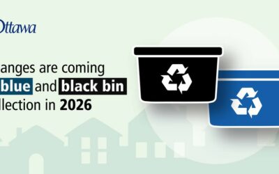 Blue and black bin collection changes coming January 1