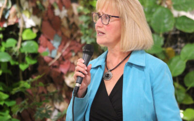 STAVINGA: The story of Goulbourn Recreation Complex