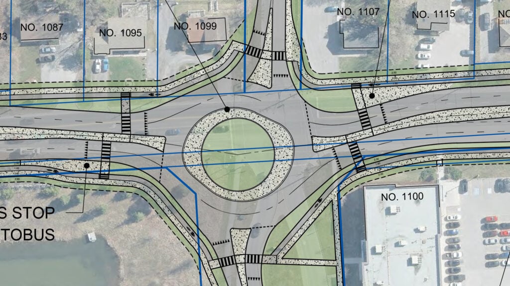 Carp at Kittiwake/Echowoods roundabout