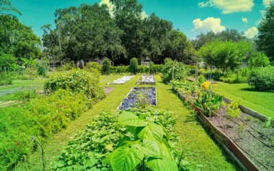 City accepting applications for Ottawa’s community-led greening initiatives and gardening program