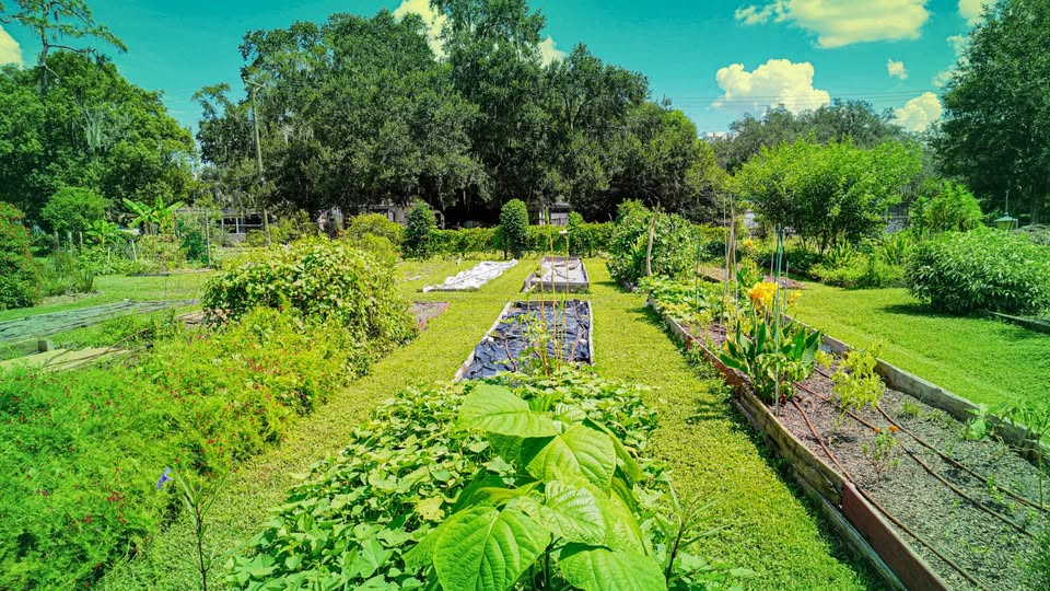 City accepting applications for Ottawa’s community-led greening initiatives and gardening program