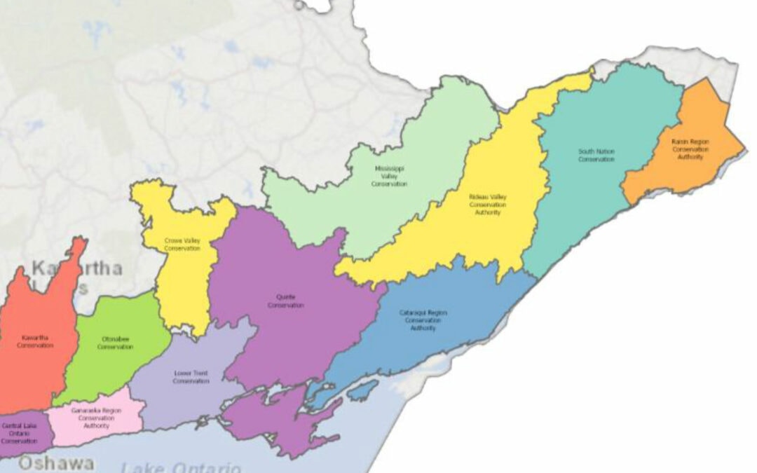 NOTEBOOK: Conservation Authority merger plan raises big concerns