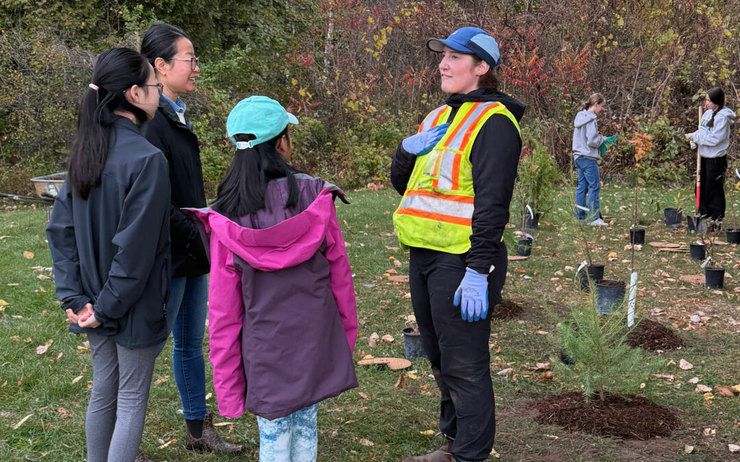 Spring 2026 tree planting update
