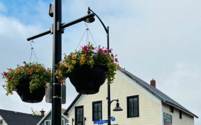 UPDATE: Stittsville Main Street Public Realm plan