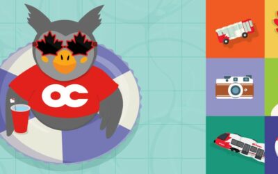 OC Transpo summer service begins Sunday, June 28