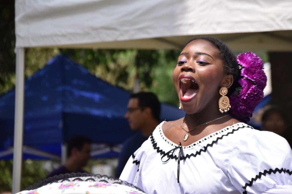 A scene from the Welcome to Stittsville Multicultural Festival, June 2026