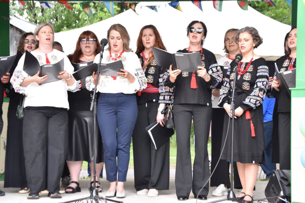 A scene from the Welcome to Stittsville Multicultural Festival, June 2026