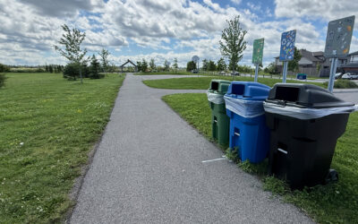 Cleaner parks, easier sorting