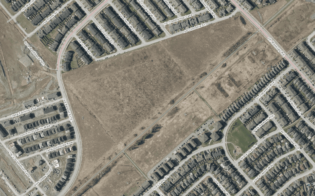 Fernbank District Park pop-up consultation Oct 3